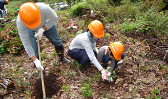 飯豊町森林育成活動(ブナの植樹活動)