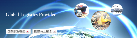 Global Logistics Provider