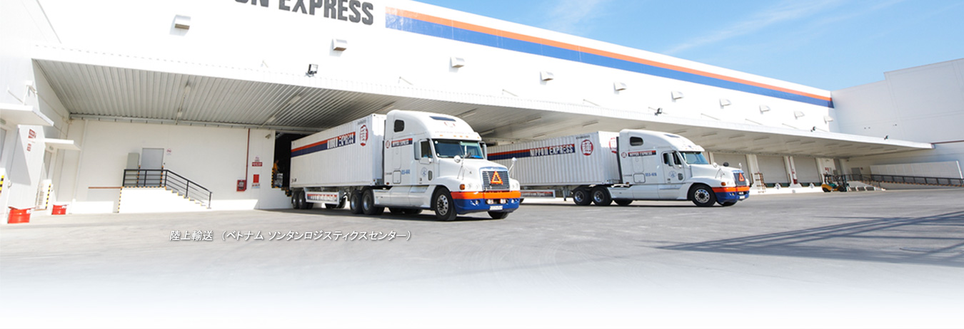 ����A���i�x�g�i�� �\���^�����W�X�e�B�N�X�Z���^�[�j