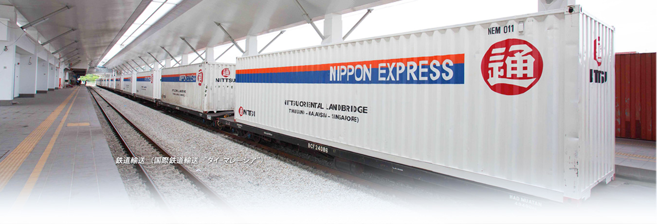 �S���A���i���ۓS���A���@�h�^�C-�}���[�V�A-�V���K�|�[���h�j