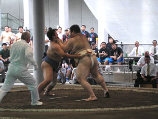 写真：日本通運相撲部　第47回東日本実業団相撲選手権大会で優勝