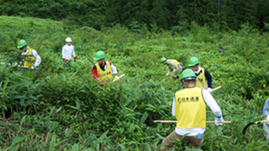 鳥取県日南町「日通の森」森林育成活動(下草刈り活動)
