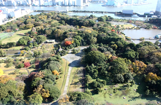 本社ビルから見た庭園全景