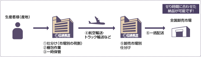 生鮮輸送 | 国内航空輸送 | 国内輸送 | 日本通運