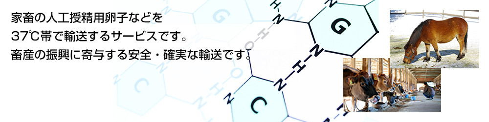 家畜の人工授精用卵子などを37℃帯で輸送するサービスです。 畜産の振興に寄与する安全・確実な輸送です。